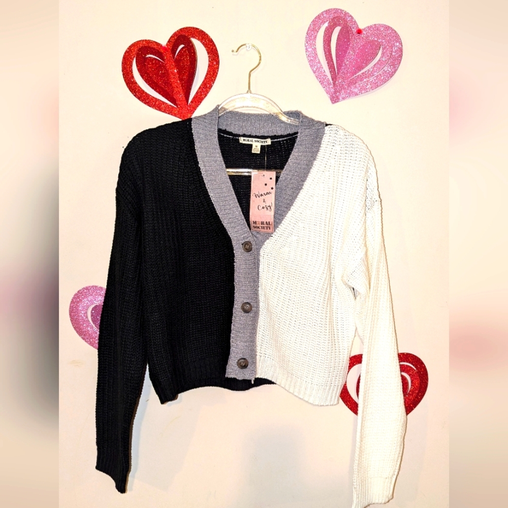 NWT Francesca's Sweater Medium Color-Block